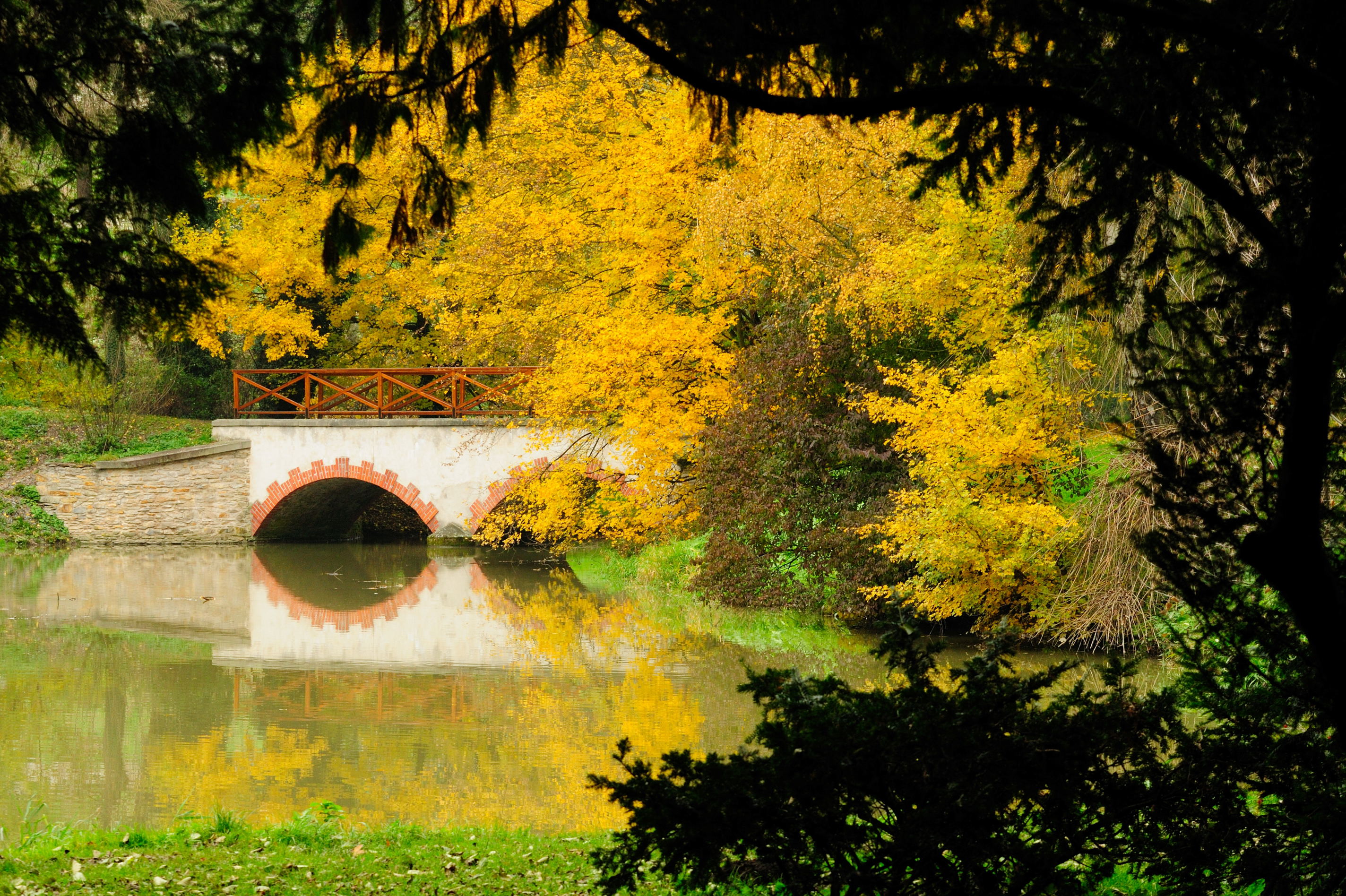 Opočno - park